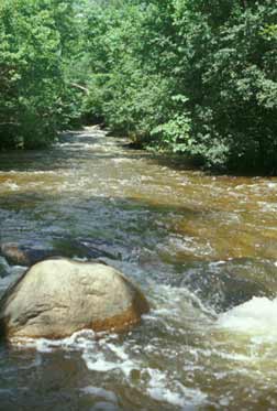 Minnehaha creek