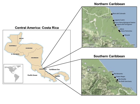 Costa Rica sample area