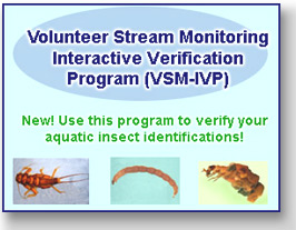 VSM-IVP announcement